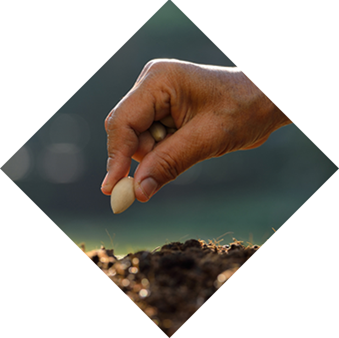 planting-seed-diamond-mask - Reputation Matters